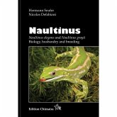 Naultinus