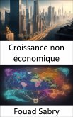 Croissance non économique (eBook, ePUB)