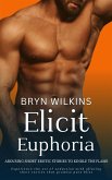 Elicit Euphoria (eBook, ePUB)