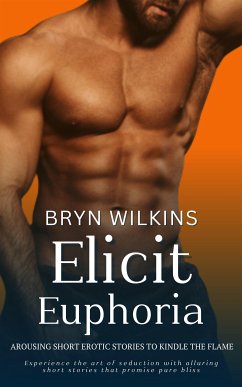 Elicit Euphoria (eBook, ePUB) - Wilkins, Bryn