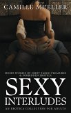 Sexy Interludes (eBook, ePUB)