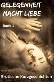 Gelegenheit macht Liebe (eBook, ePUB)