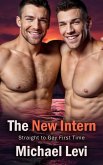 The New Intern - Straight to Gay First Time (Interviews Gone Wild, #2) (eBook, ePUB) The New Intern - Straight to Gay First Time (Interviews Gone Wild, #2) (eBook, ePUB)