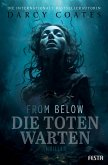 From Below - Die Toten warten (eBook, ePUB)