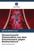 Mesenchymale Stammzellen aus dem Knochenmark gegen Bluthochdruck