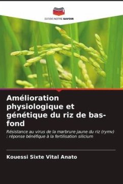 Amélioration physiologique et génétique du riz de bas-fond - Anato, Kouessi Sixte Vital