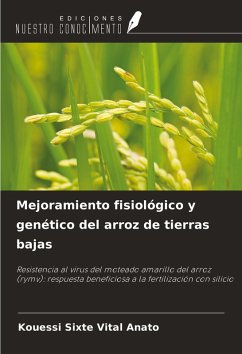 Cover Mejoramiento fisiológico y genético del arroz de tierras bajas