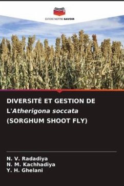 DIVERSITÉ ET GESTION DE L'Atherigona soccata (SORGHUM SHOOT FLY) - Radadiya, N. V.;Kachhadiya, N. M.;Ghelani, Y. H.