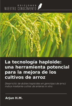 Cover La tecnología haploide: una herramienta potencial para la mejora de los cultivos de arroz