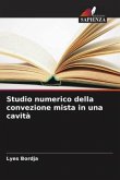 Studio numerico della convezione mista in una cavità