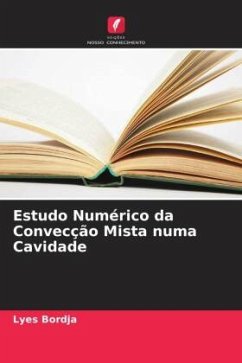 Estudo Numérico da Convecção Mista numa Cavidade - Bordja, Lyes