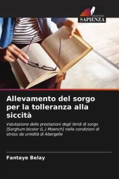 Allevamento del sorgo per la tolleranza alla siccità - Belay, Fantaye