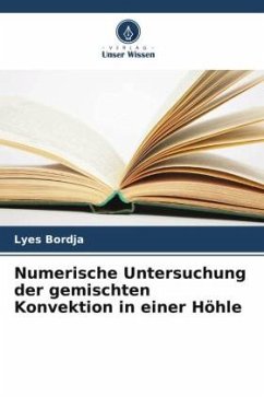 Numerische Untersuchung der gemischten Konvektion in einer Höhle - Bordja, Lyes