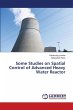 Some Studies on Spatial Control of... - Bild 1
