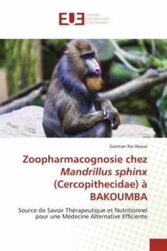 Zoopharmacognosie chez Mandrillus sphinx (Cercopithecidae) à BAKOUMBA - Nsi Akoue, Gontran