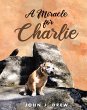 A Miracle for Charlie - Bild 1