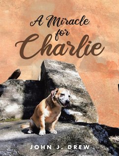 A Miracle for Charlie - Drew, John J.