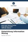 Entwicklung Information Mining