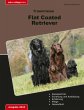 Traumrasse Flat Coated Retriever... - Bild 1