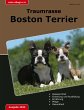Traumrasse Boston Terrier - Bild 1