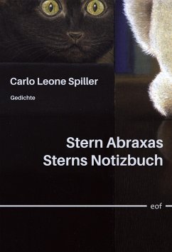 Stern Abraxas Sterns Notizbuch - Spiller, Carlo Leone