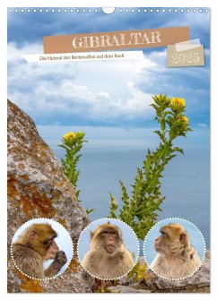 Gibraltar - Die Heimat der Berberaffen auf dem Rock (Wandkalender 2025 DIN A3 hoch), CALVENDO Monatskalender - Calvendo;Ziemer, Astrid