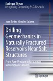 Drilling Geomechanics in Naturally Fractured Reservoirs Near Salt Structures