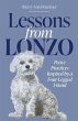 Lessons from Lonzo - Bild 1