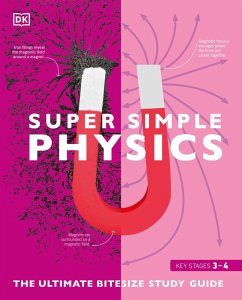 Super Simple Physics (eBook, ePUB) - Dk