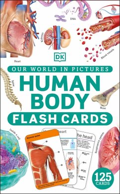 Our World in Pictures Human Body Flash Cards (eBook, ePUB) - Dk