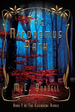 Cover The Nicodemus Path (The Elsewhere Riddle, #1) (eBook, ePUB)