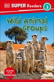 DK Super Readers Level 3 Wild Animal Groups (eBook, ePUB)