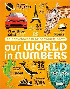 Cover Our World in Numbers (eBook, ePUB)