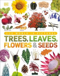 Our World in Pictures: Trees, Leaves, Flowers & Seeds (eBook, ePUB) - Dk