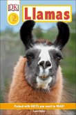 Llamas (eBook, ePUB)
