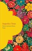 Imperfect Tense (eBook, ePUB)