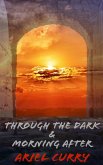Through the Dark and Morning After (eBook, ePUB)