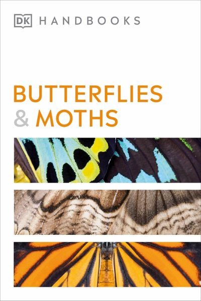 Butterflies and Moths (eBook, ePUB) Butterflies and Moths (eBook, ePUB)