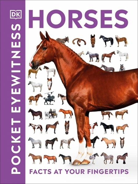 Pocket Eyewitness Horses (eBook, ePUB)