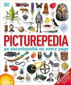 Picturepedia (eBook, ePUB) - Dk