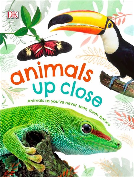 Animals Up Close (eBook, ePUB)