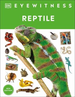 Cover Reptile (eBook, ePUB)
