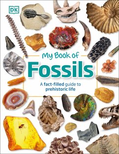 My Book of Fossils (eBook, ePUB) - Dk; Lomax, Dean R.