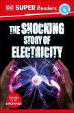DK Super Readers Level 4 The Shocking Story of Electricity (eBook, ePUB)