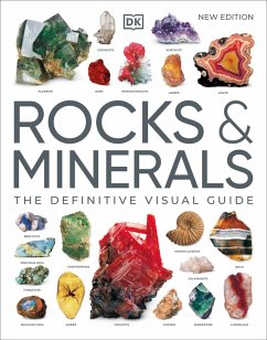 Rocks & Minerals (eBook, ePUB) - Dk