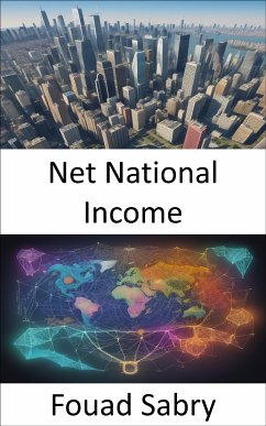 Net National Income (eBook, ePUB) - Sabry, Fouad