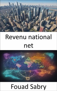 Revenu national net (eBook, ePUB) - Sabry, Fouad