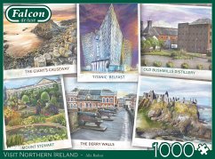 Jumbo 1110500239 - Falcon, Alla Badsar, Visit Northern Ireland, Puzzle, 1000 Teile