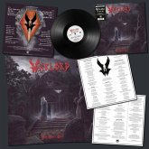 Free Spirit Soar (Black Vinyl) Free Spirit Soar (Black Vinyl)