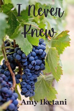 Cover I Never Knew (eBook, ePUB)